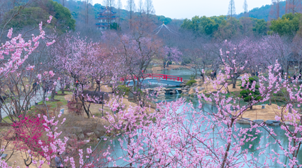 无锡市太湖鼋头渚风景区第 206 张图片