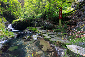 双龙生态旅游景区第 2 张图片