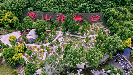 漫山花溪谷第 4 张图片