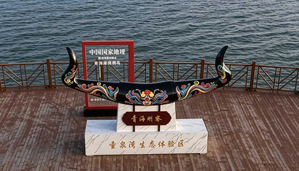 青海湖圣泉湾第 9 张图片