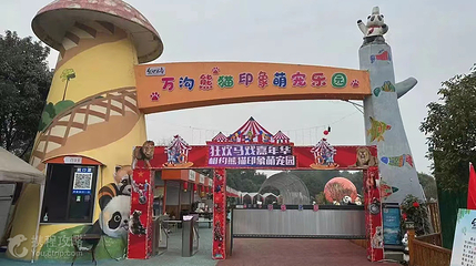 万沟熊猫印象萌宠乐园第 4 张图片