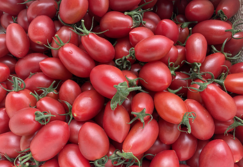 侨鑫生态园第 59 张图片