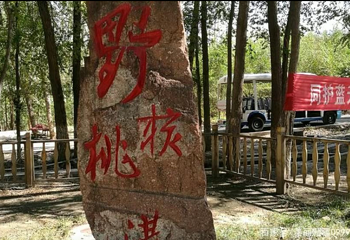 野核桃沟第 20 张图片