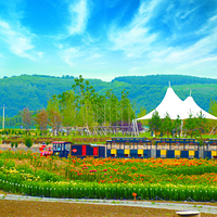 良田百世运动假日景区