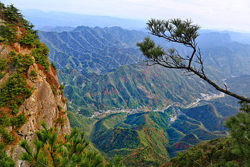 秦岭天竺山生态文化旅游景区第 43 张图片
