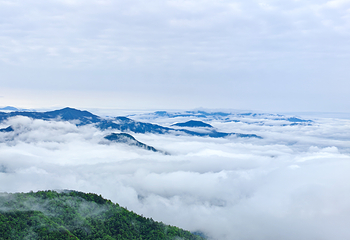 大华山蝶栖谷景区第 31 张图片