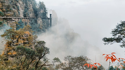 大瑶山盘王界景区第 62 张图片