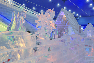 观澜雪悦冰雪天地第 2 张图片
