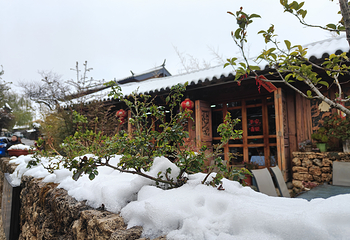 雪嵩村(玉湖村)第 79 张图片