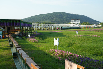 西山岛开心农场第 11 张图片