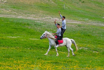 一牧场马术基地第 7 张图片