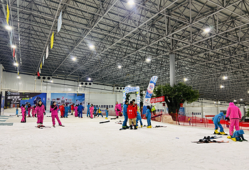 三只熊冰雪王国第 20 张图片