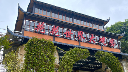 花花世界大观园第 4 张图片