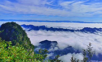 秦岭天竺山生态文化旅游景区第 45 张图片
