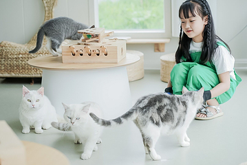 东部新区种子乐园第 36 张图片