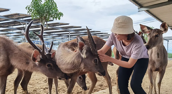 Tien Tien农场和动物园