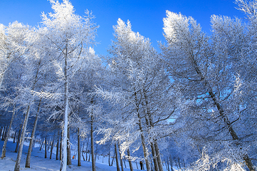 万龙滑雪场第 73 张图片