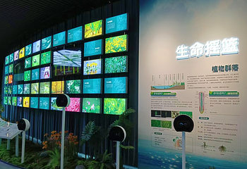 芦曲华年生态科学馆第 18 张图片