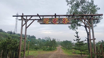 恐龙谷第 1 张图片
