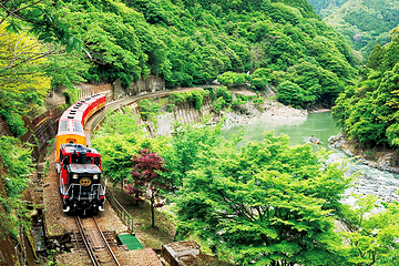 岚山嵯峨野观光小火车第 5 张图片