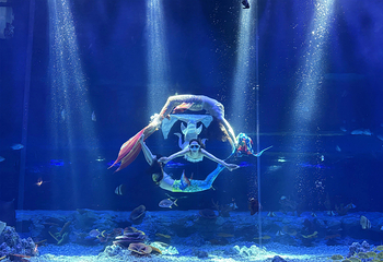 成都海洋世界第 9 张图片