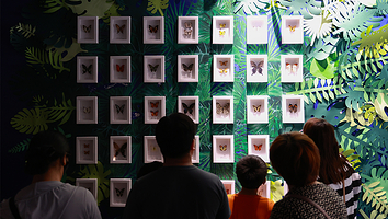 《广富林少年村·昆虫》艺术展