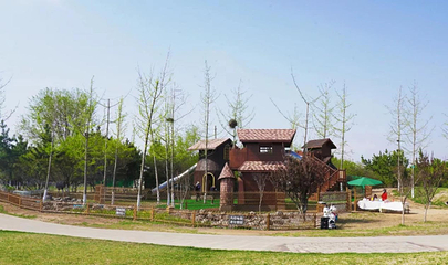 泰生小镇旅游景区第 83 张图片