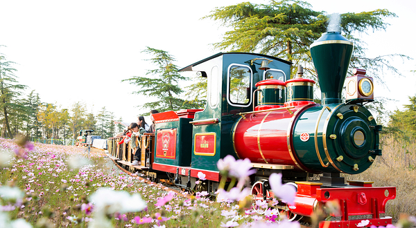 南京松鼠部落森林假日公园