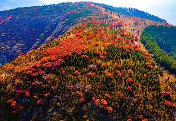 青铜山大峡谷第 5 张图片