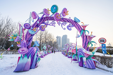 沈阳奥体冰雪嘉年华第 54 张图片