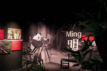 杜威中心Dewey Center第 19 张图片