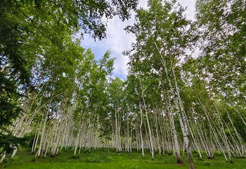 峰岩山寨旅游度假区第 5 张图片