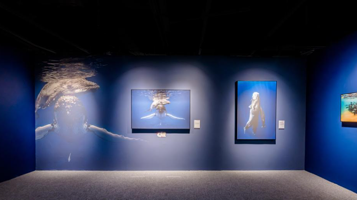 「西南首展」中国国家地理·探索 极致发现科学艺术影像展