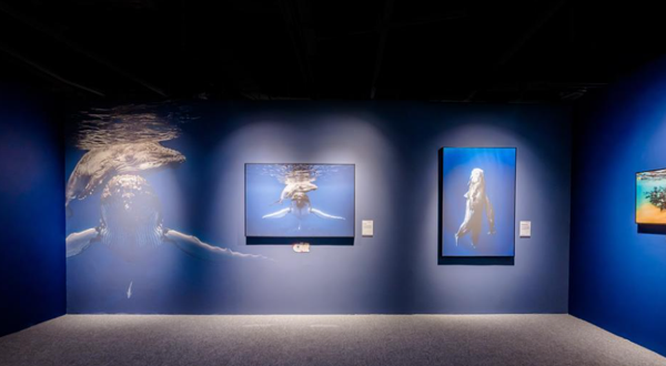 「西南首展」中国国家地理·探索 极致发现科学艺术影像展