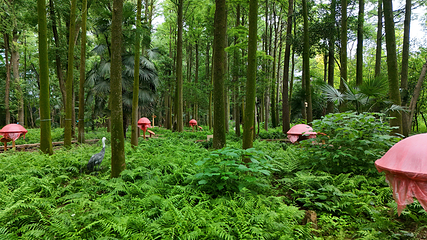 鸟语林生态旅游度假区第 14 张图片