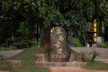 普洱茶马古道遗址公园第 98 张图片