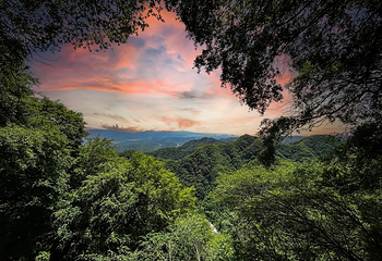 西镇吴山景区第 14 张图片