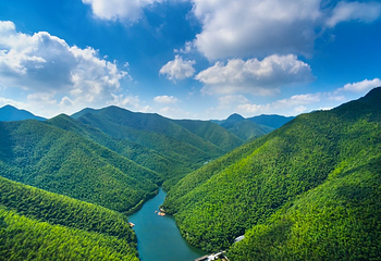 天目湖南山竹海第 39 张图片