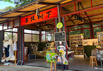 海南百花岭热带雨林文化旅游区第 16 张图片