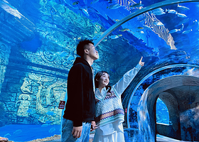 宁夏幻太奇海洋公园