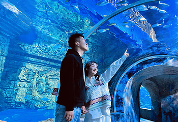 宁夏幻太奇海洋公园第 1 张图片