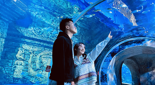 宁夏幻太奇海洋公园