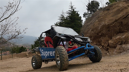 百雀林观光园第 13 张图片