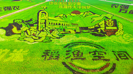 稻渔空间第 34 张图片