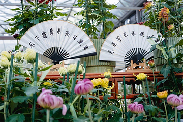 碧云花园第 41 张图片