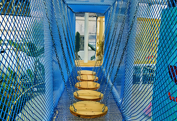 珍奇植物馆第 11 张图片