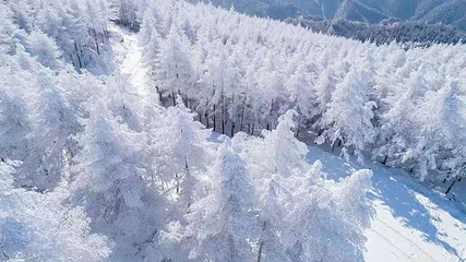 五峰国际滑雪场第 43 张图片