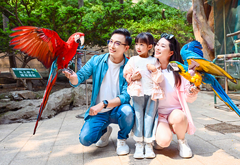 老虎滩海洋公园第 8 张图片