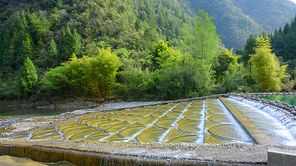 巴山大峡谷第 67 张图片