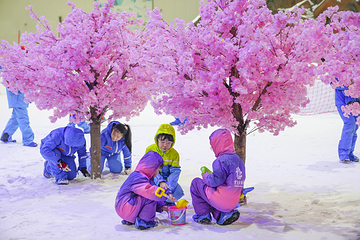 际华园滑雪馆第 18 张图片